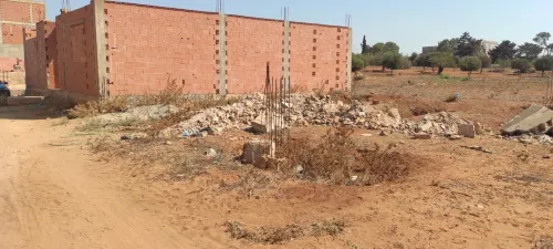 Vente Terrain Mostaganem Sayada