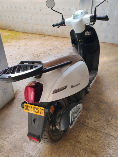 Benelli Panarea 2025 2025
