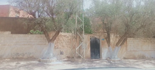Vente Villa Sidi Bel Abbès Ain el berd