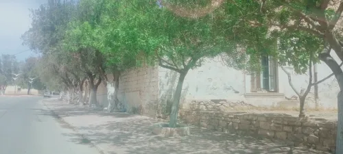 Vente Villa Sidi Bel Abbès Ain el berd
