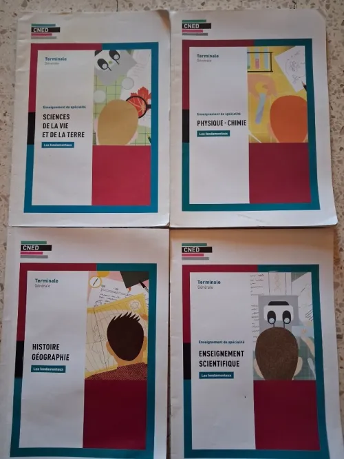Vends livre CNED CLASSE TERMINAL