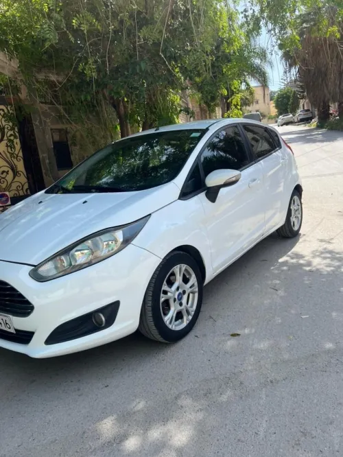 Ford Fiesta 2014 Trend Look