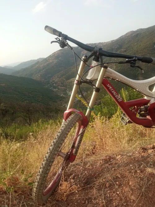 Specialized