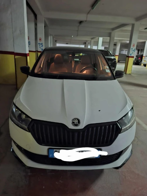Skoda Fabia 2021 Monte Carlo