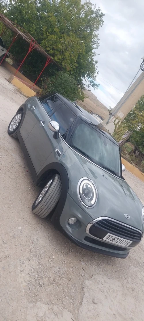 Mini Mini 2017 Mini