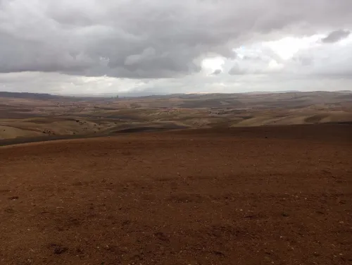 Vente Terrain Agricole Mascara El gaada