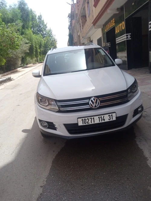 Volkswagen Tiguan 2014 Cup
