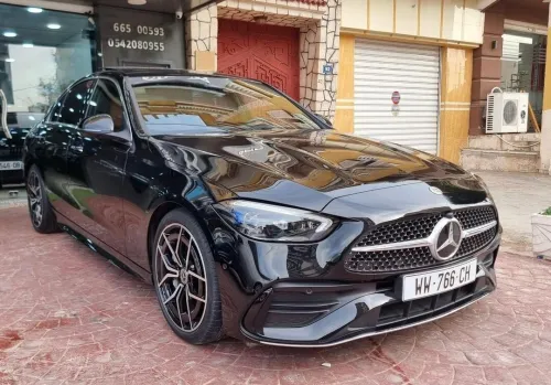 Mercedes Class c 2023 c220d
