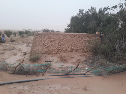 Vente Terrain Agricole Naâma El biod