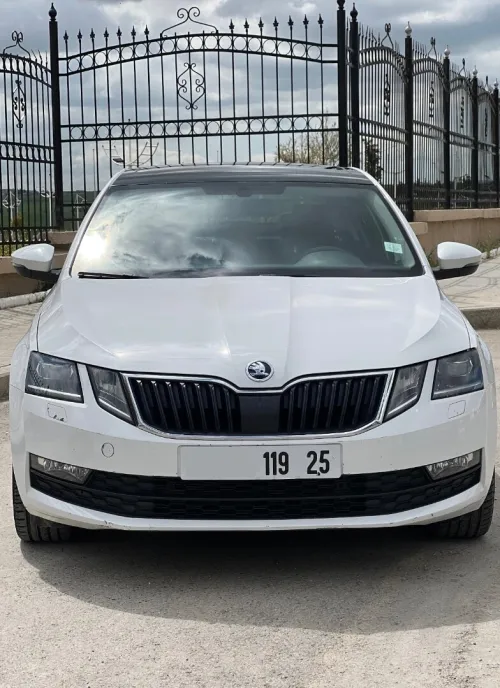 Skoda Octavia 2019 Clever