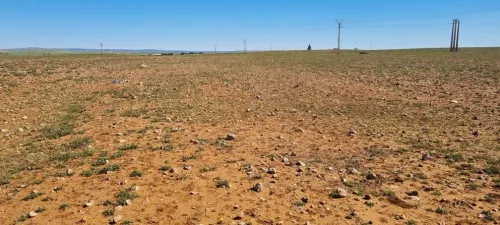 Vente Terrain Agricole Tiaret Ain bouchekif