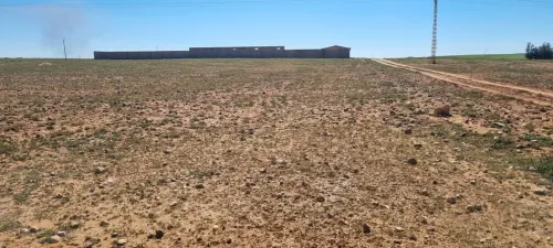 Vente Terrain Agricole Tiaret Ain bouchekif