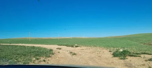 Vente Terrain Tiaret Dahmouni
