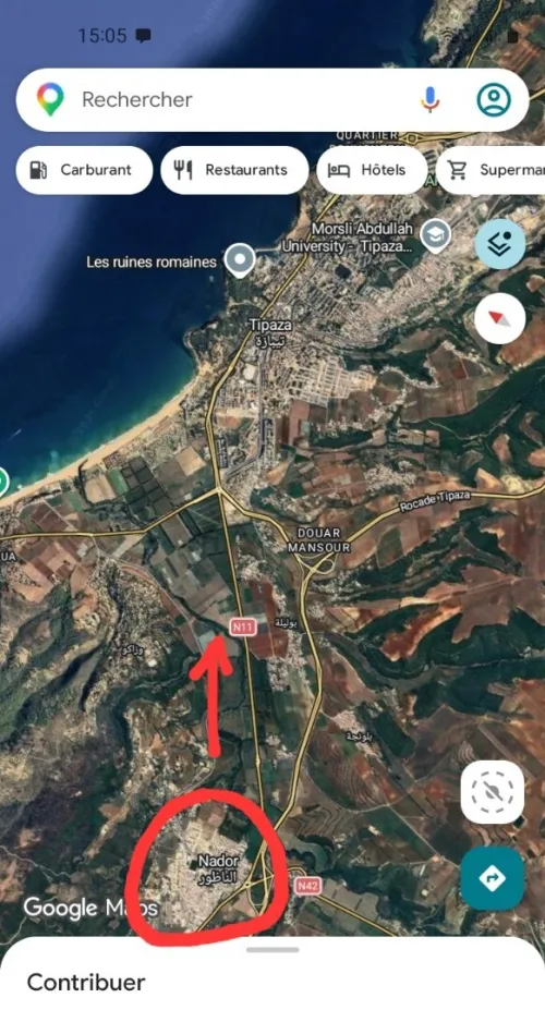Vente Immeuble Tipaza Nador