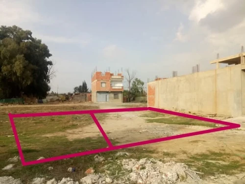 Vente Terrain Alger Tessala el merdja