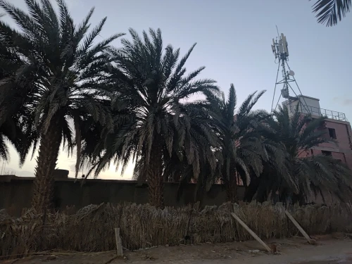 Vente Terrain Ouargla Ouargla