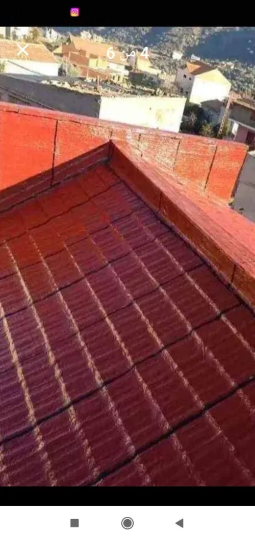 بودواو بومى