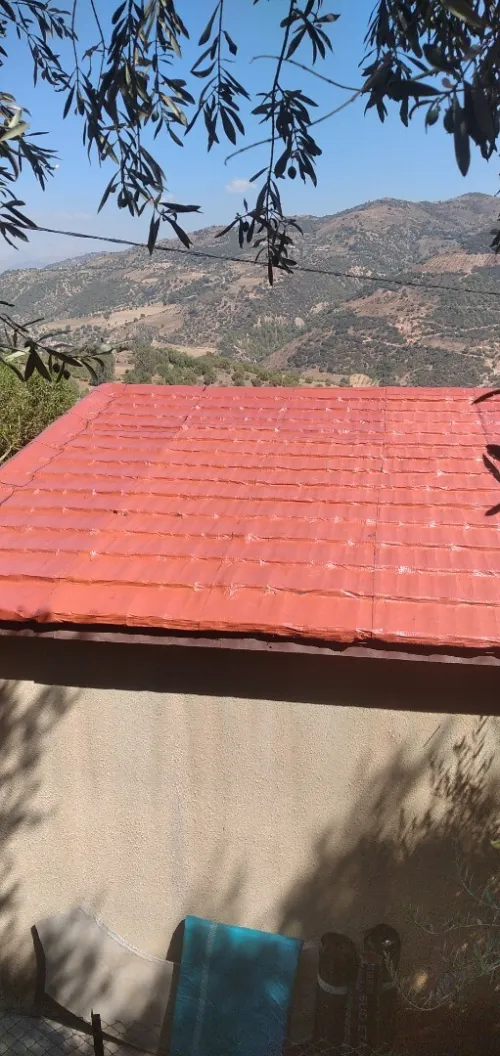 بودواو بومى