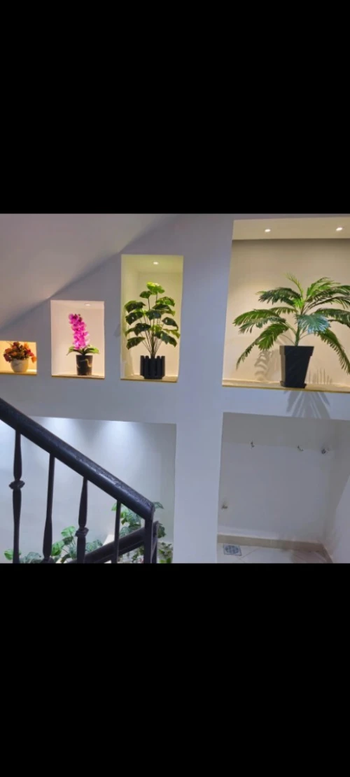 Location vacances Appartement Tlemcen Mansourah