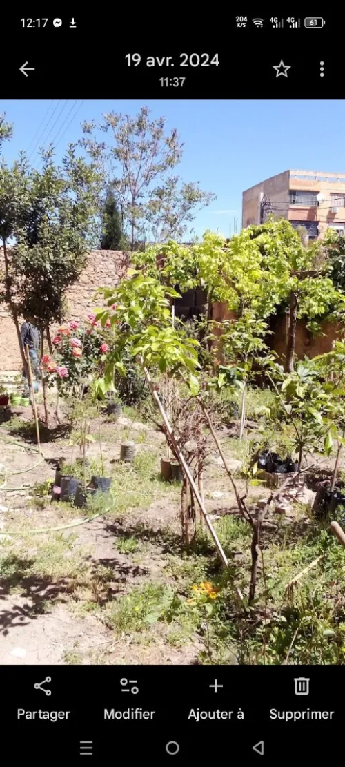 Vente Villa Tiaret Tiaret