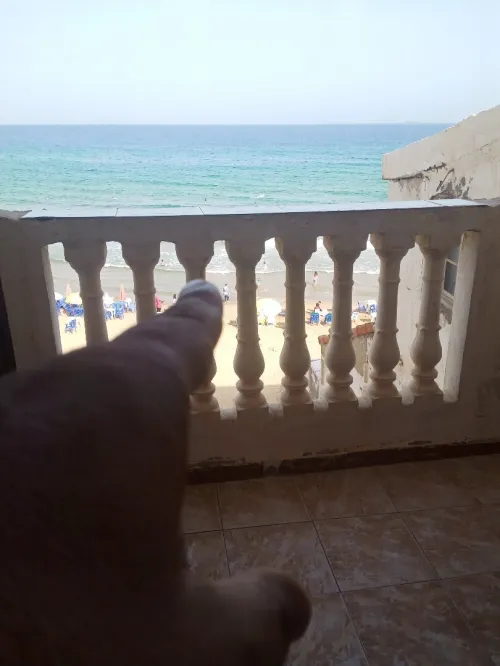 Location Bungalow Oran Bousfer