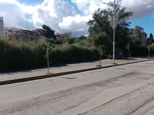 Vente Terrain Alger Hussein dey