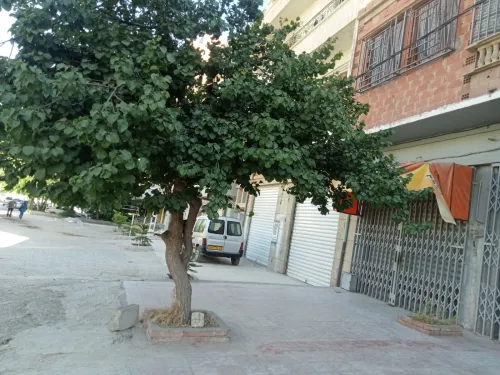 Vente Villa Batna Batna