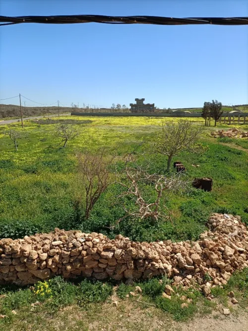Vente Terrain Agricole Oran Gdyel