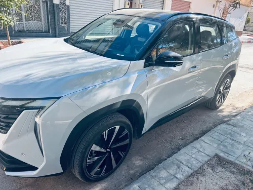 Geely Starray 2024 Flagship