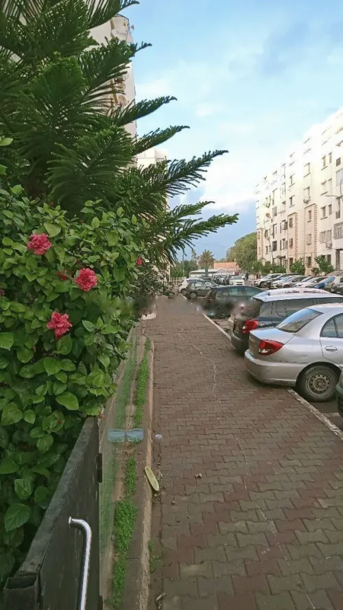 Location Local Alger Baba hassen