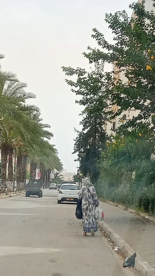 Location Appartement F3 Alger Baba hassen