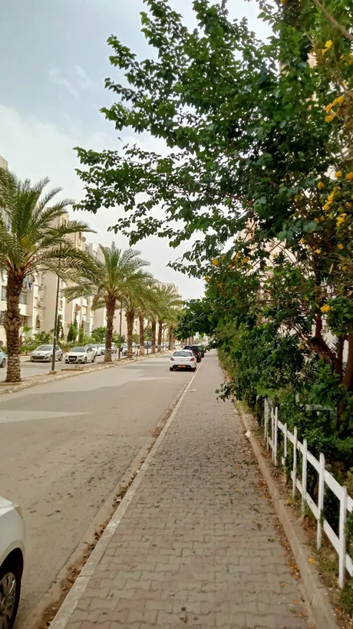Vente Local Alger Baba hassen