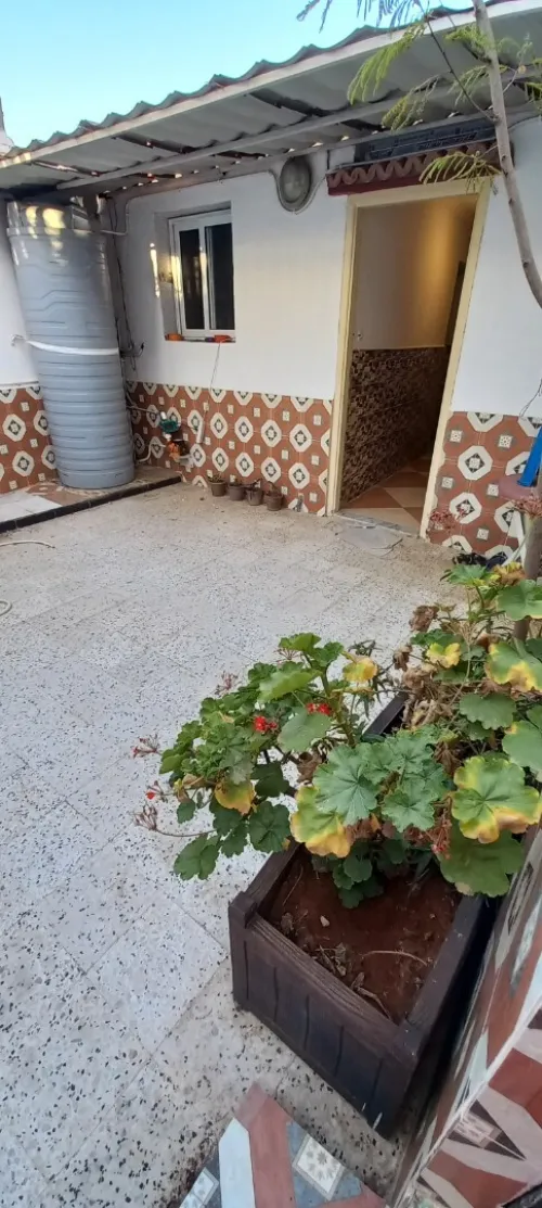 Location Appartement F2 Alger Staoueli