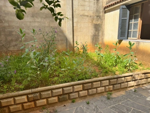 Vente Villa Alger Ain naadja