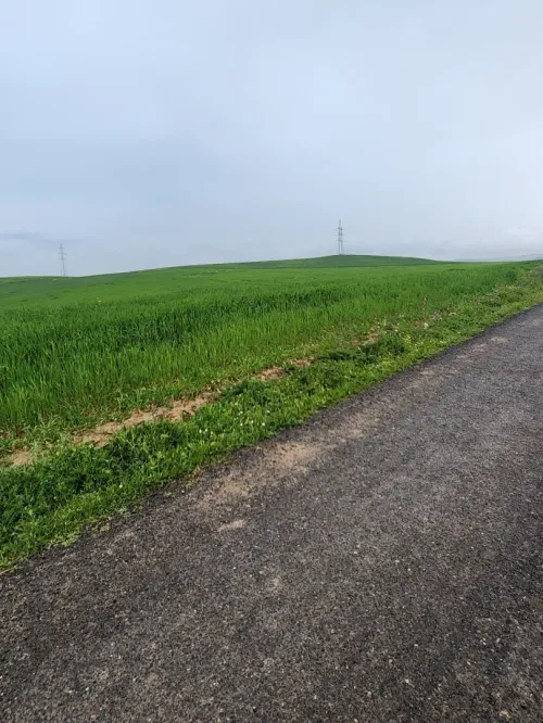 Vente Terrain Agricole Bouira Ain laloui