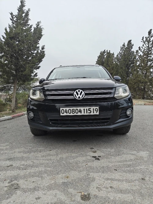 Volkswagen Tiguan 2015 Cup