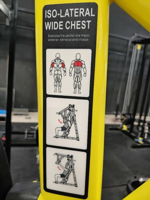 Body Force Presse