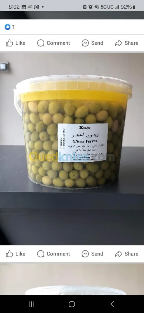 بيع با الجملة للزيتون بكل الاحجام والانواع 