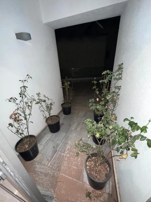 Location Appartement F5 Alger Hydra