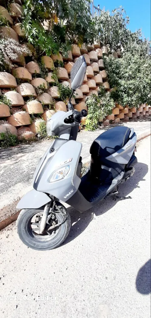 VMS JOCI Joci 2026