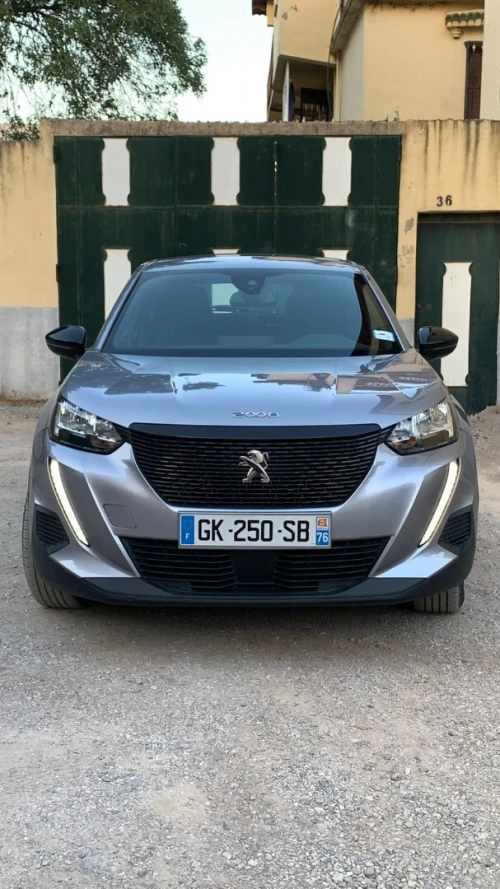 Peugeot 2008 2022 Erg