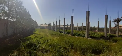 Vente Terrain Agricole Sidi bel abbes Amarnas
