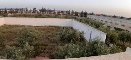 Vente Terrain Agricole Sidi bel abbes Amarnas
