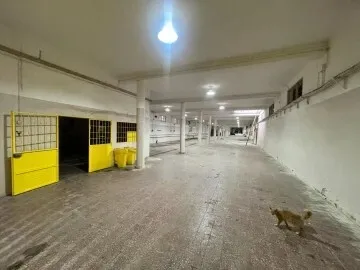 Location Hangar - Usine Alger Birtouta