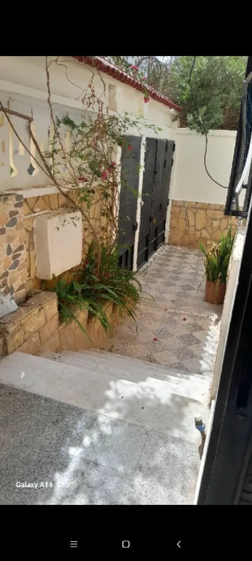 Location Appartement Tipaza Tipaza