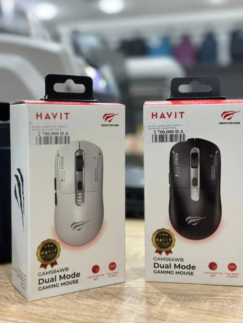 SOURIS SANS FIL GAMER HAVIT GAMS64WB 2.4HZ BLUETOOTH Batterie rechargeabl