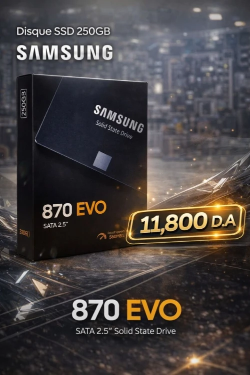 Disque SSD Samsung 870 EVO 250GB neuf