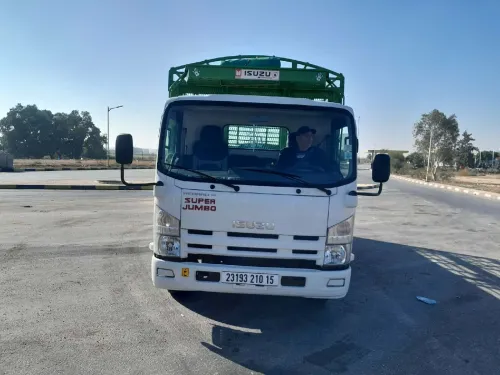 Isuzu NpR 2010