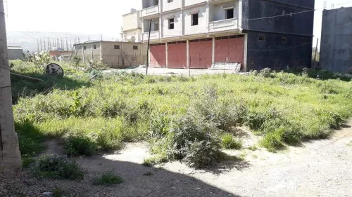 Vente Terrain Blida Meftah