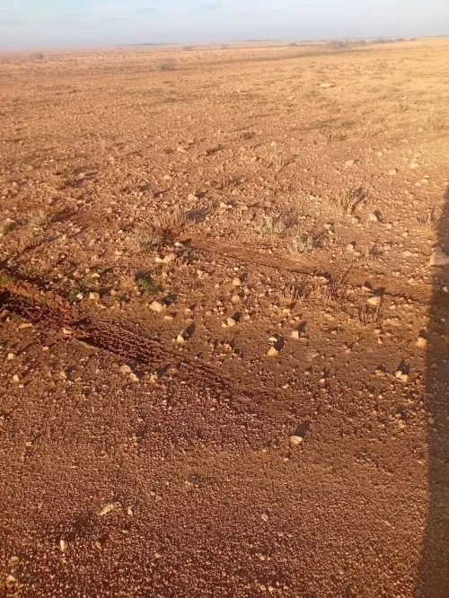 Vente Terrain Agricole El Bayadh Brezina